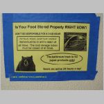 20060822_22Sequoia_007 copia.jpg